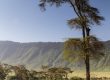 safari en el cráter del Ngorongoro