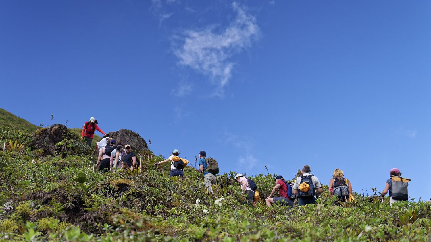 nuestro grupo en la montaña grupo en la Soufrière