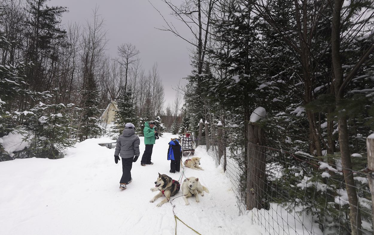 nuestra parada a mitad de camino tómate un descanso con los niños en el bosque