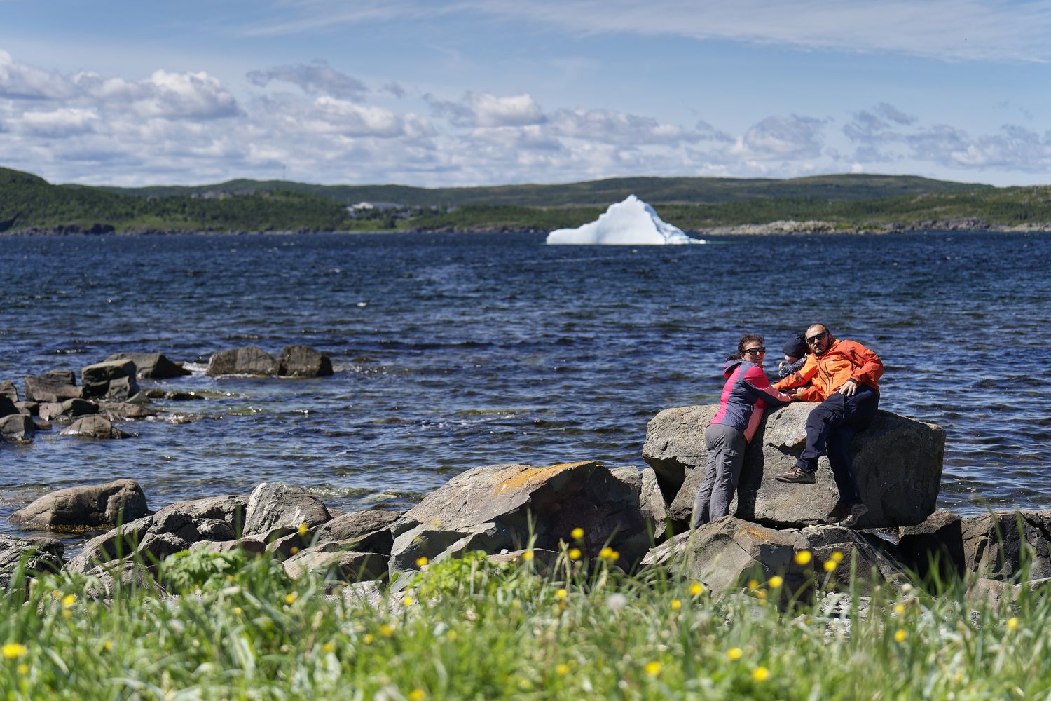 observar icebergs en Terranova iceberg visto en Terranova