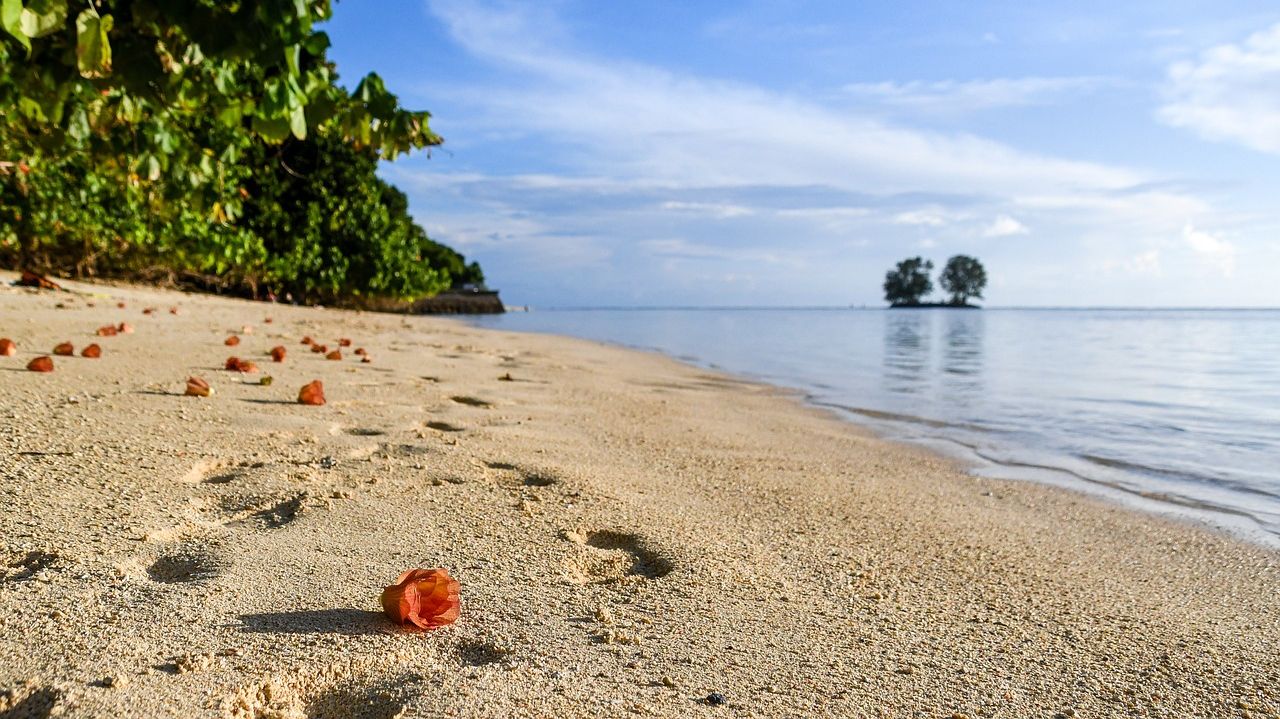 ¿dónde te alojas en La Digue entonces? dónde alojarse en la isla de La Digue