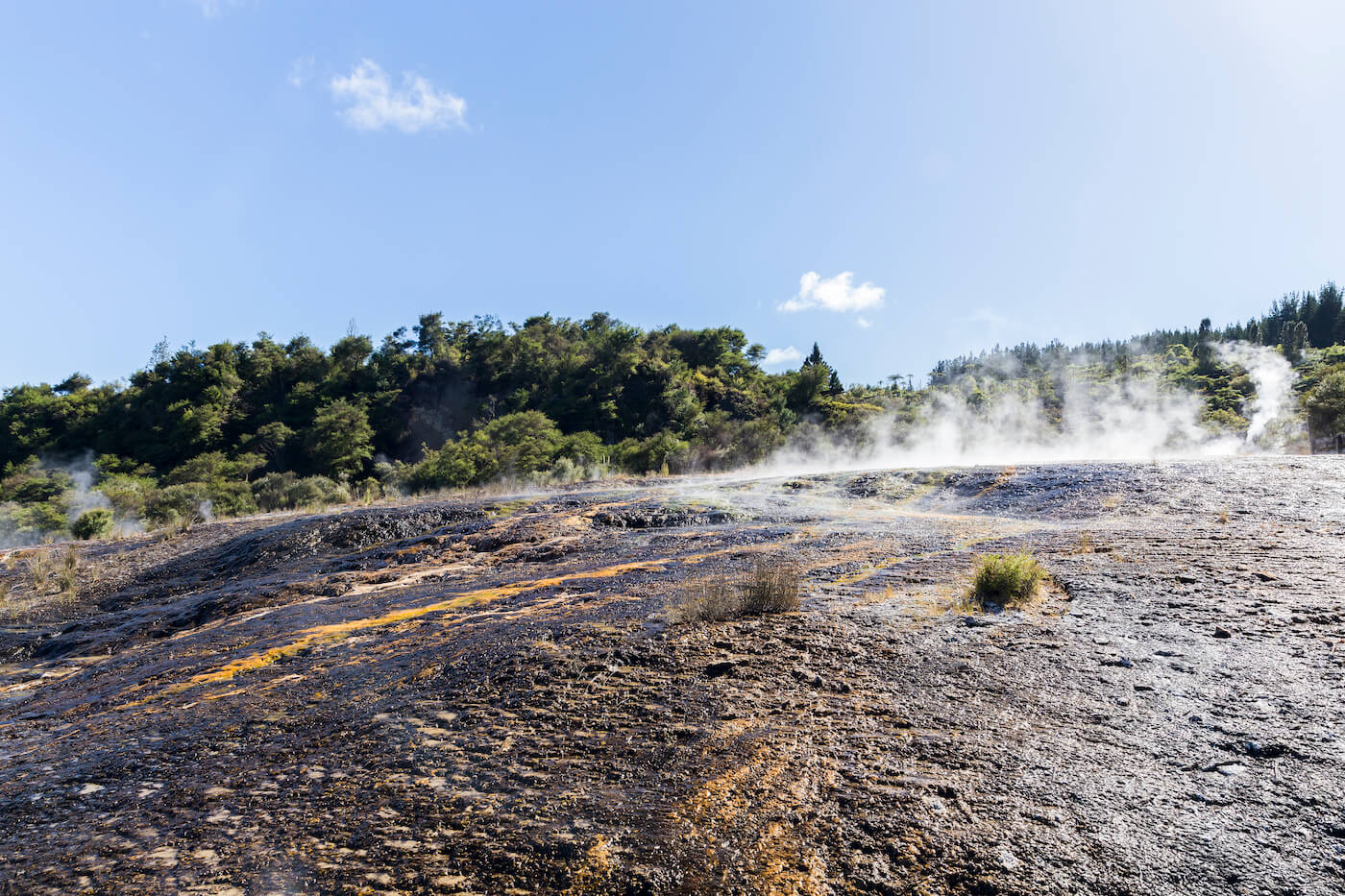 Orakei Korako: la visita viaje a Orakei Korako