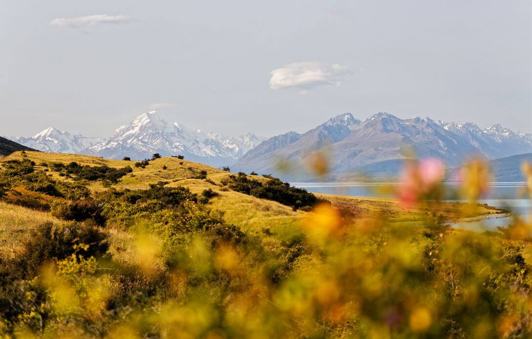 planifica un viaje a Nueva Zelanda vistas magníficas del monte Cook durante un viaje por carretera