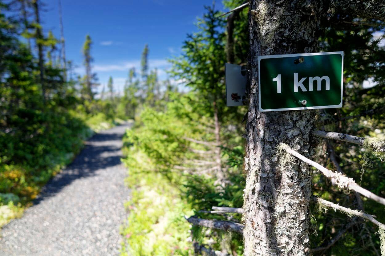 señal de Terra Nova paseo en Terra Nova