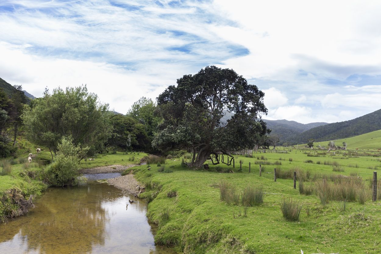 paisaje de la península de Coromandel paisajes de Coromandel