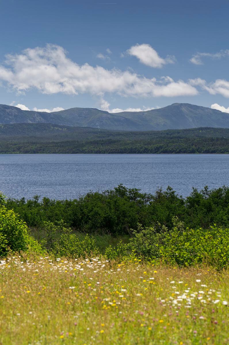 paisaje de estanque del río Trout en Gros Morne paisaje de estanque del río Trout en Gros Morne