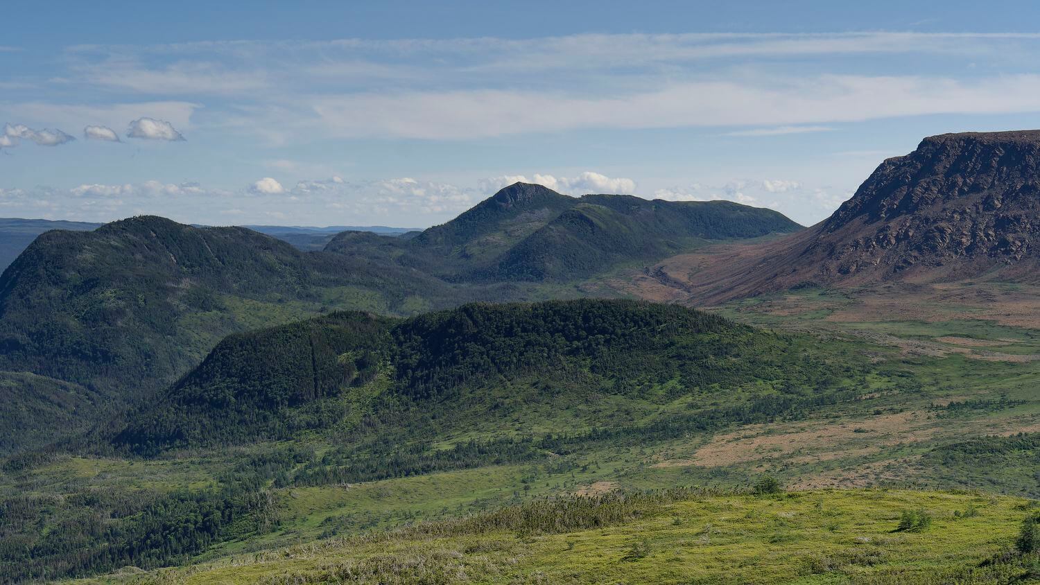 paisajes alrededor del sendero Lookout Trail en Gros Morne paisajes de Gros Morne