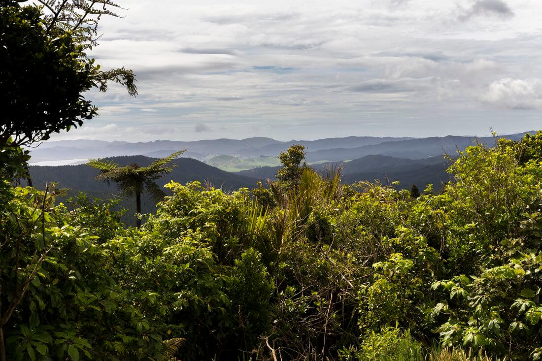 paisaje en la península de Coromandel paisajes de la península de Coromandel