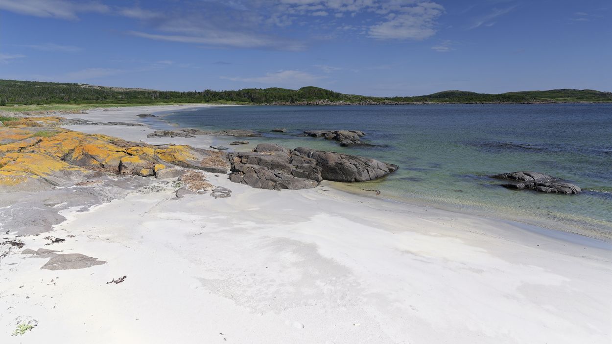 playa de arena blanca en la isla de Fogo playa de arena blanca en la isla de Fogo