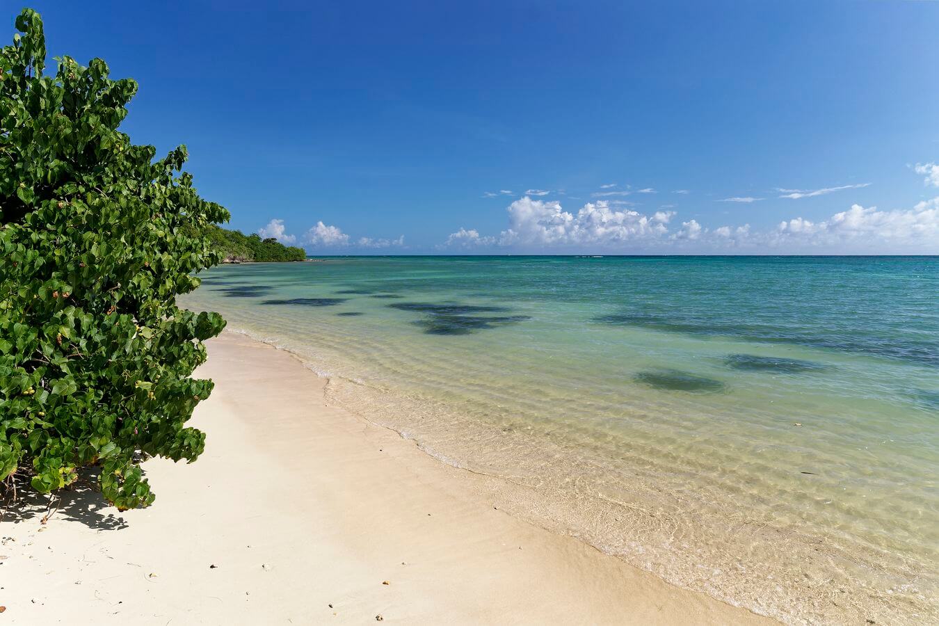 playa mancenillier playa de mancenillier, Pointe des Châteaux, Guadalupe