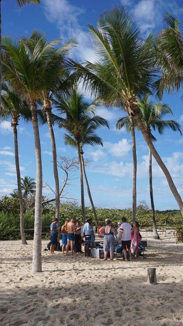 algunas bebidas en la isla de Petite-Terre bebida en Petite-Terre