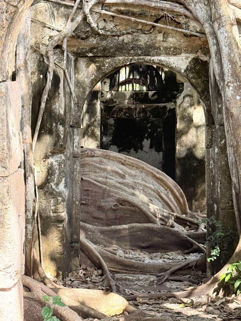prisión de esclavos Impresionante quesero en la prisión de Petit Canal en Guadalupe