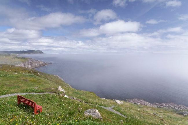 cuándo visitar Terranova, Canadá