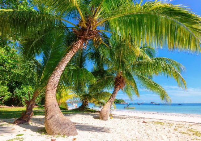 Cuándo ir a Seychelles