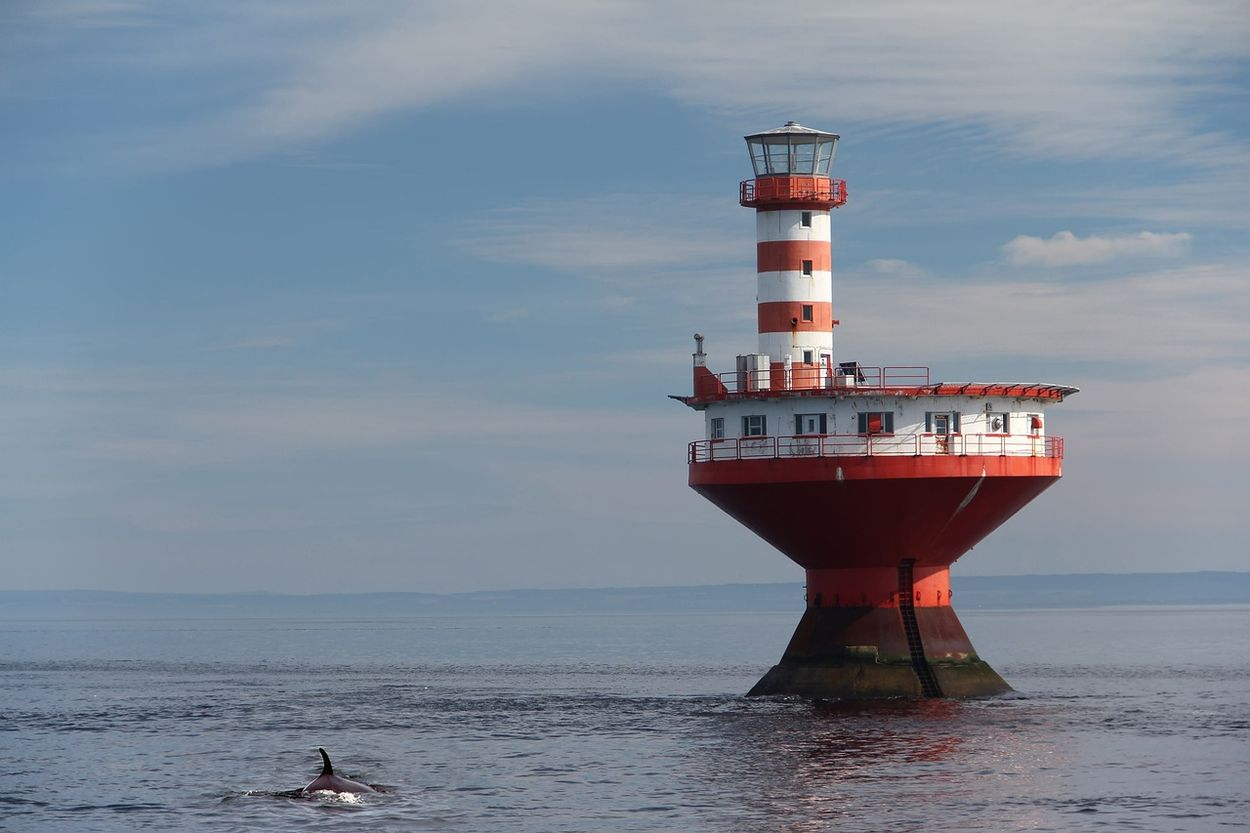 lo mejor que hacer en Tadoussac qué visitar en Tadoussac