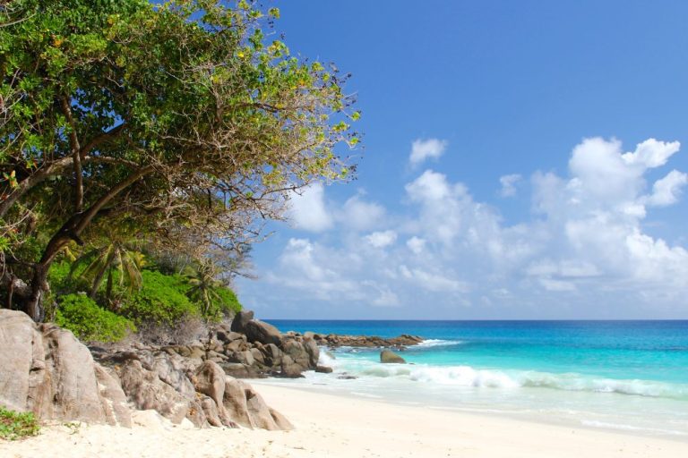 qué hacer en un viaje a las Seychelles qué hacer durante tu estancia en las Seychelles