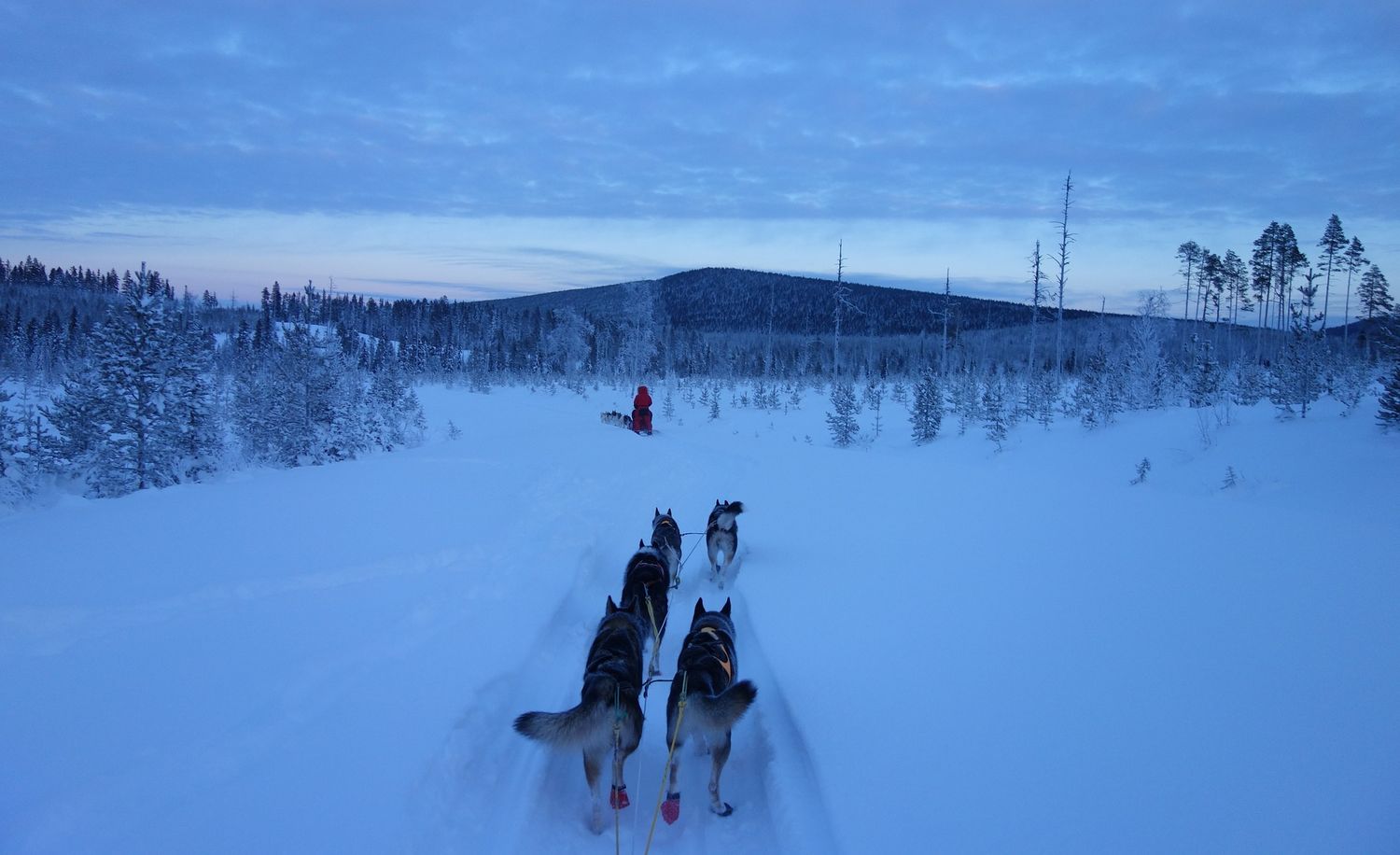 qué lugar elegir para hacer trineo tirado por perros en Quebec trineo tirado por perros en la nieve en Quebec