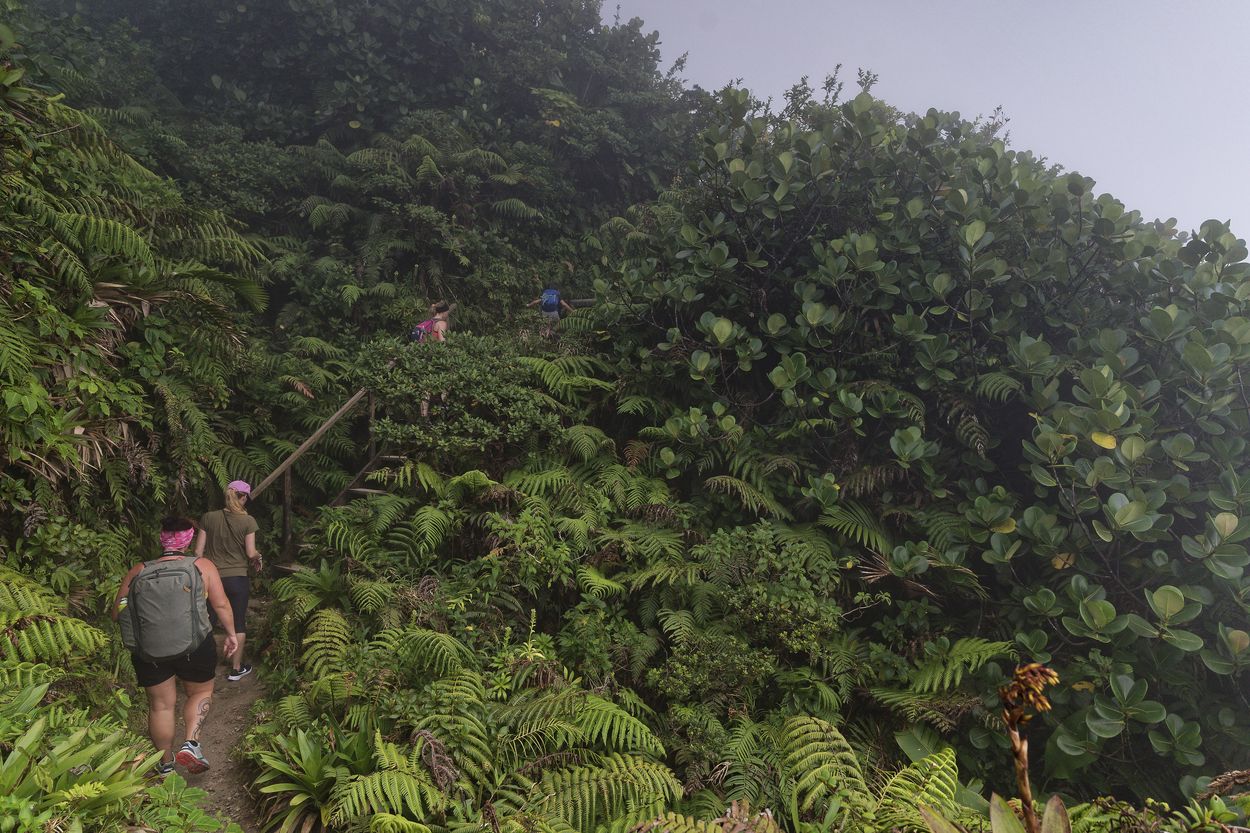 senderismo en la niebla en camino a Soufrière