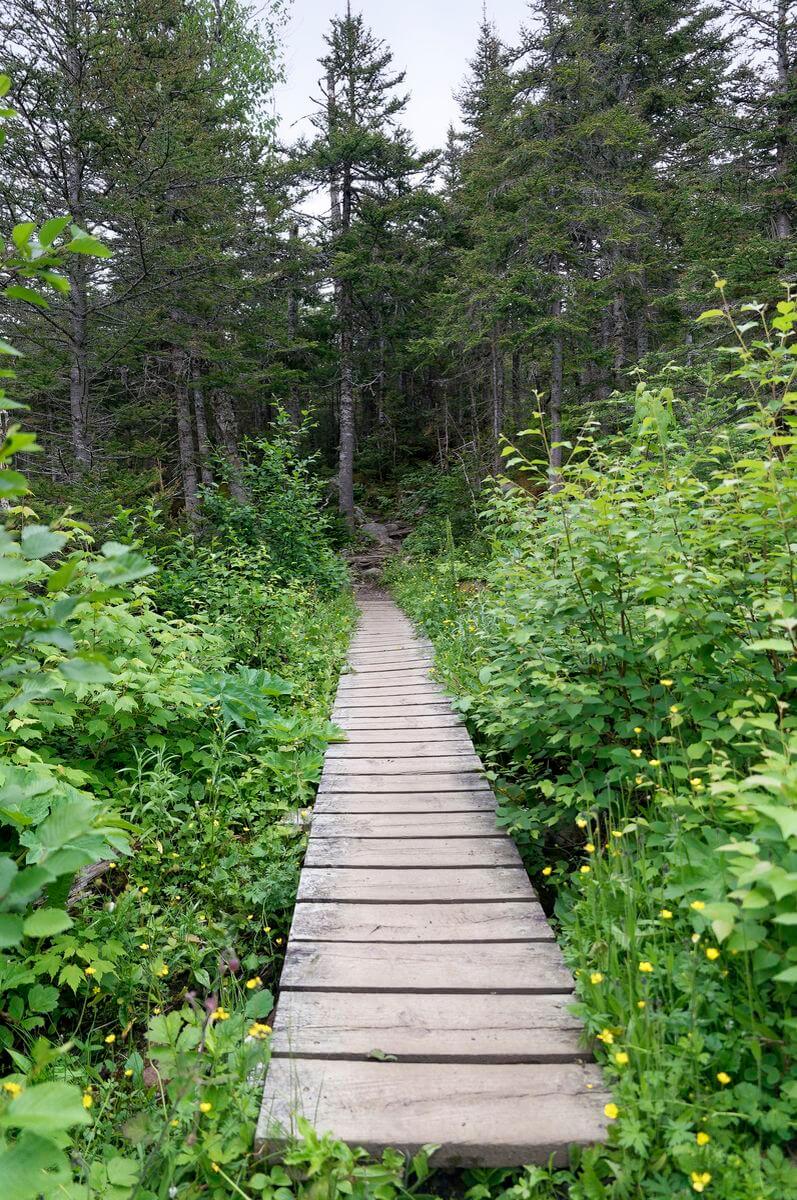 senderismo a las cataratas Southeast Brook visitar Gros Morne