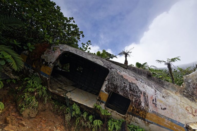 senderismo al naufragio del DC-3 senderismo al naufragio del DC-3 en Soufrière