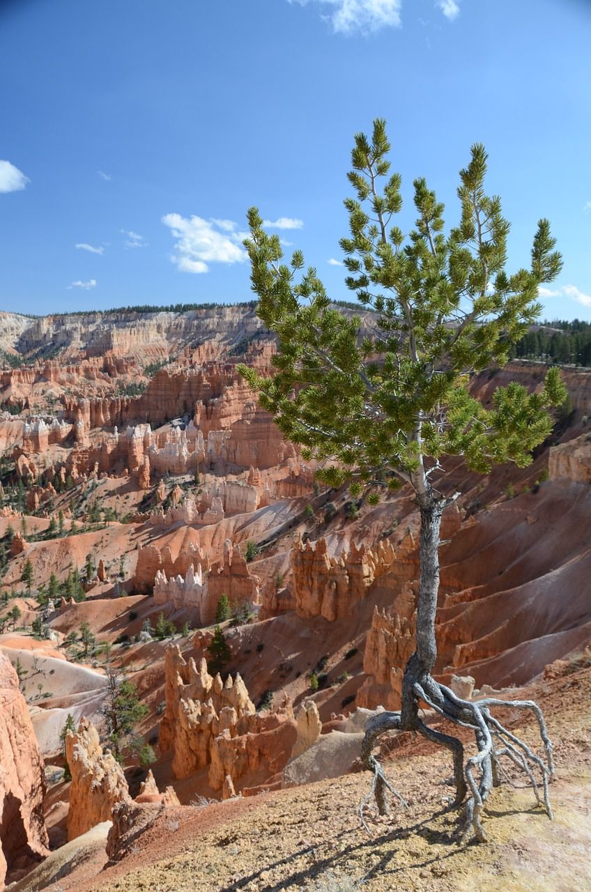 senderismo en Bryce Canyon descubre Bryce Canyon