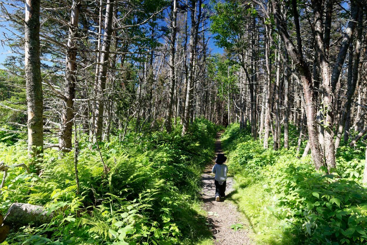 senderismo en Green Point, Gros Morne senderismo en Green Point, Gros Morne