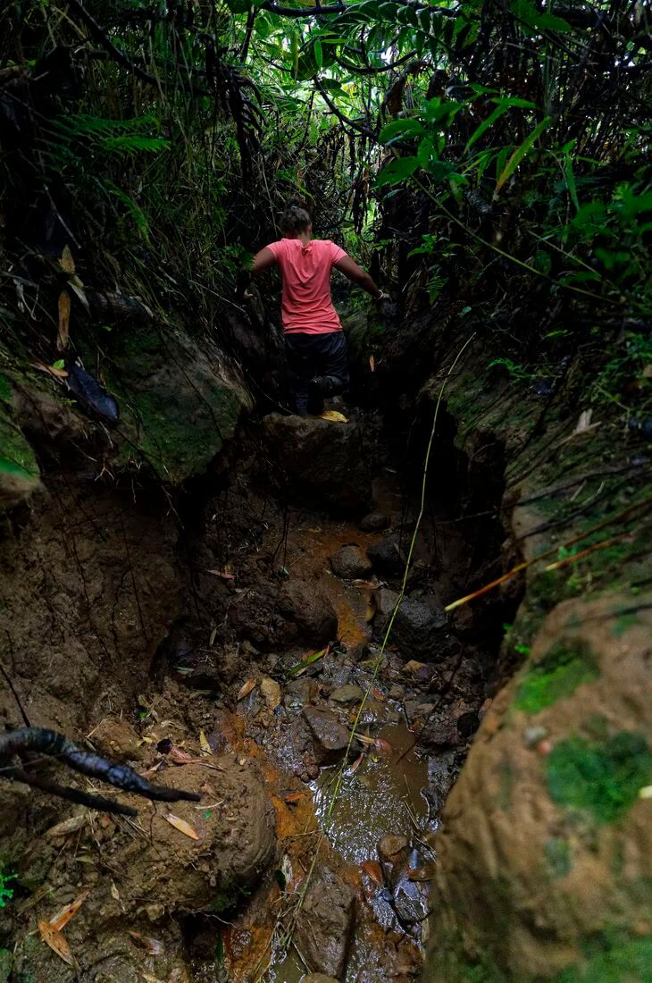 Senderismo en reserva natural Trekking en Guadalupe