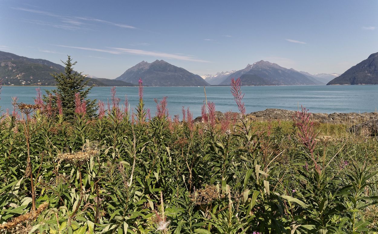 senderismo en Haines vista de senderismo en Haines