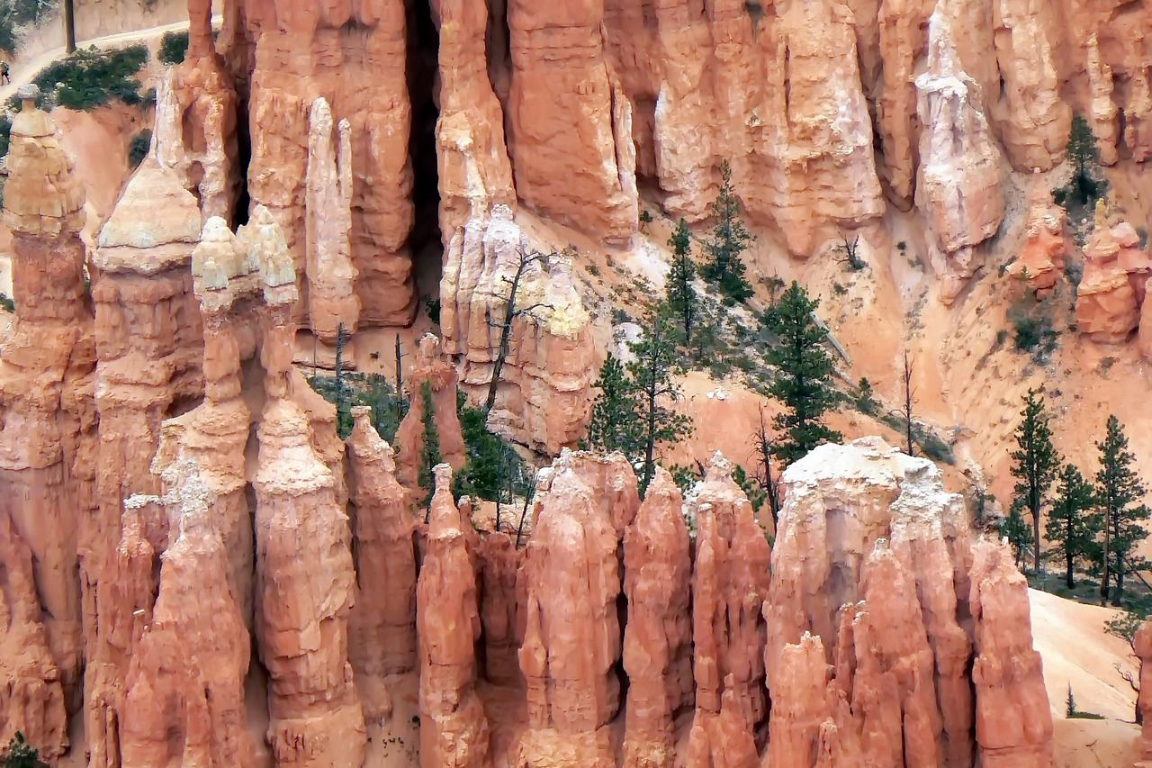 viaje por carretera en el Parque Nacional del Cañón Bryce explorando el cañón Bryce