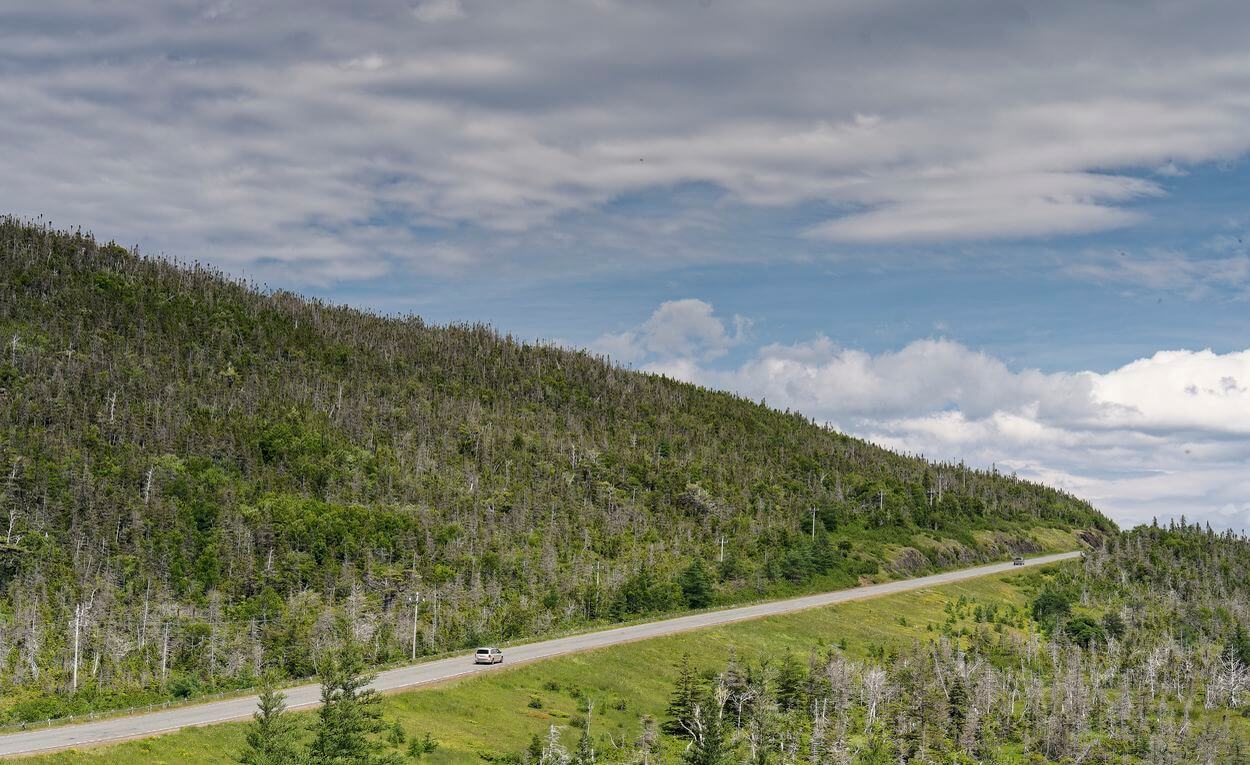 carretera de Tablelands en Gros Morne carretera de Tablelands
