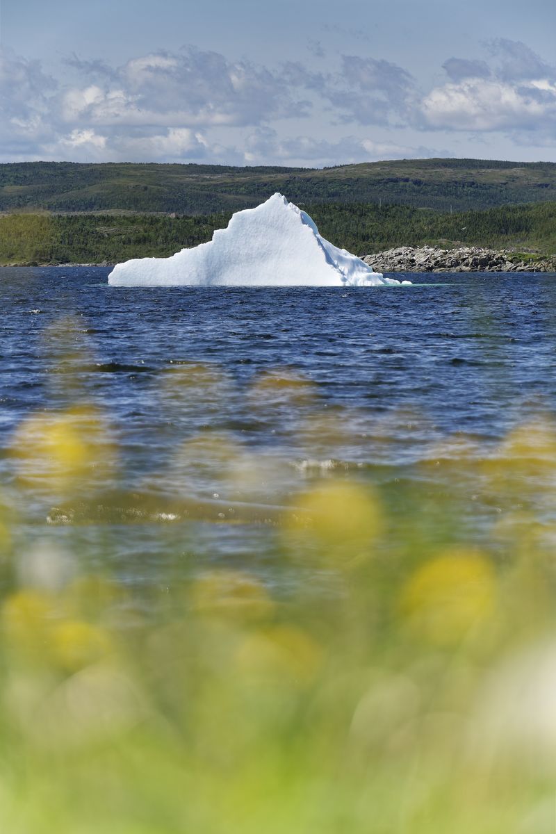 temporada de icebergs en Terranova iceberg Terranova