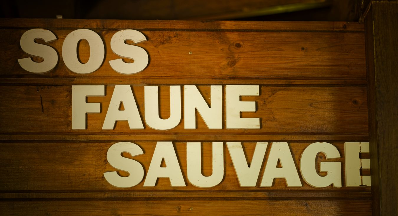 SOS Faune Sauvage en el zoológico SOS Faune Sauvage en el zoológico