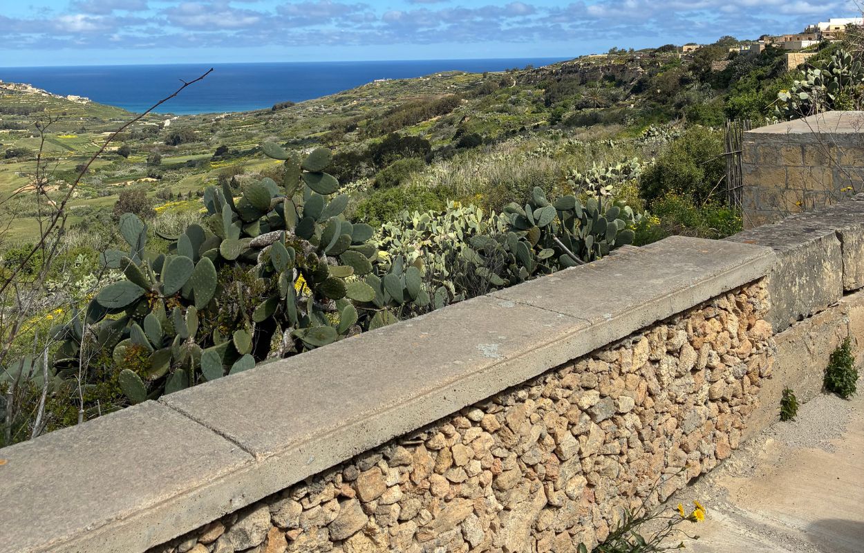 viajar a Malta cómo moverse por Malta