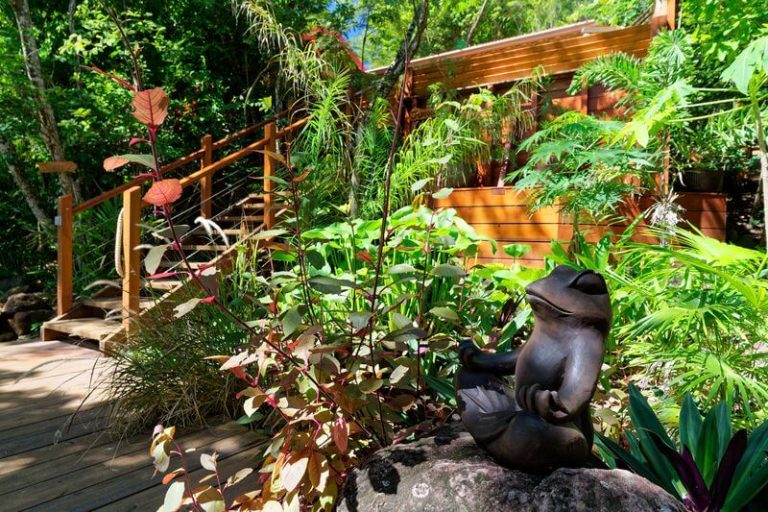nuestra estancia en el jardín de los colibríes jardín de los colibríes isla de Guadalupe
