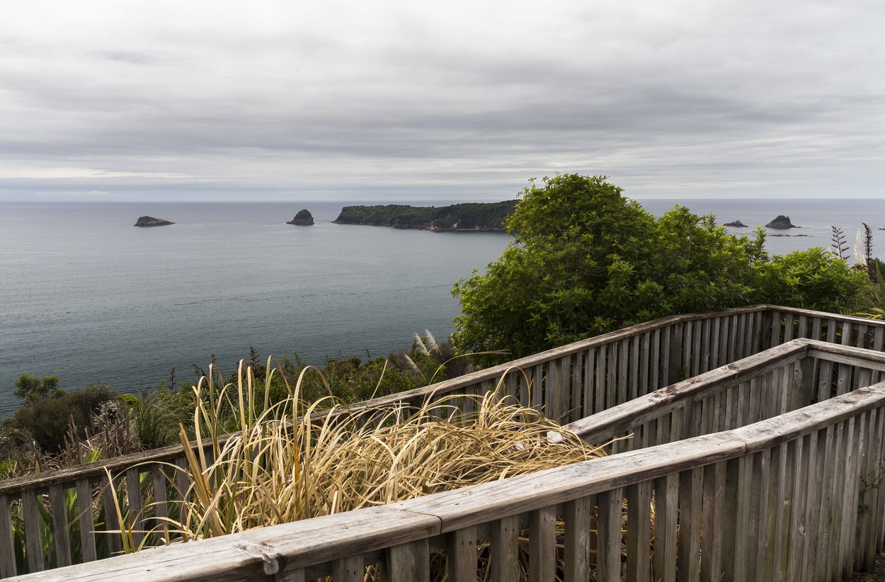 dónde alojarse en Coromandel viajar a Coromandel dónde alojarse