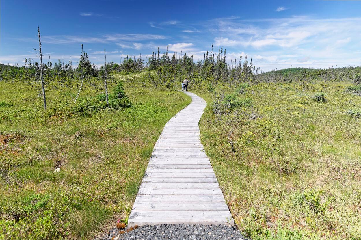 sendero de Terra Nova, Canadá sendero de Terra Nova, Canadá