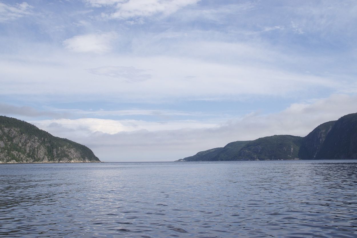 Qué hacer en Tadoussac Qué hacer y ver en Tadoussac