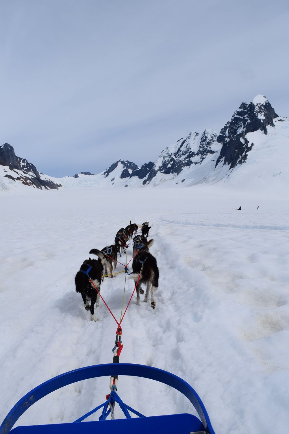 experiencia de trineo tirado por perros en Quebec trineo tirado por perros en Quebec
