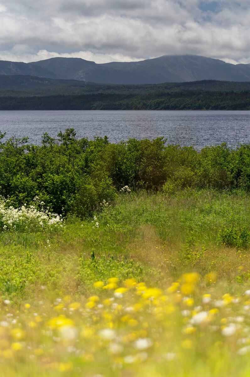 estanque Trout River, Parque Nacional Gros Morne paisajes de Gros Morne