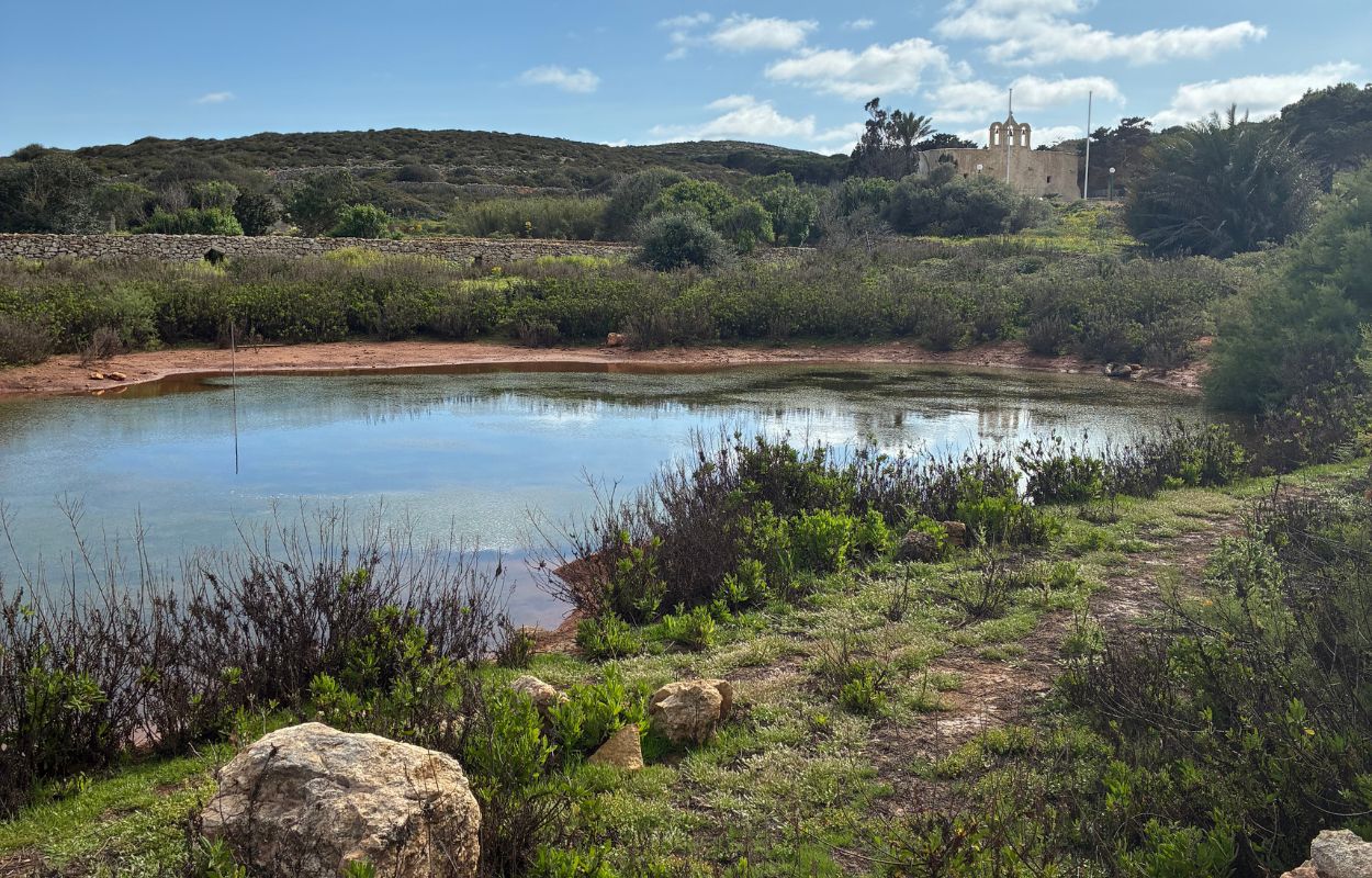 vegetación de Comino sendero y lago en Comino