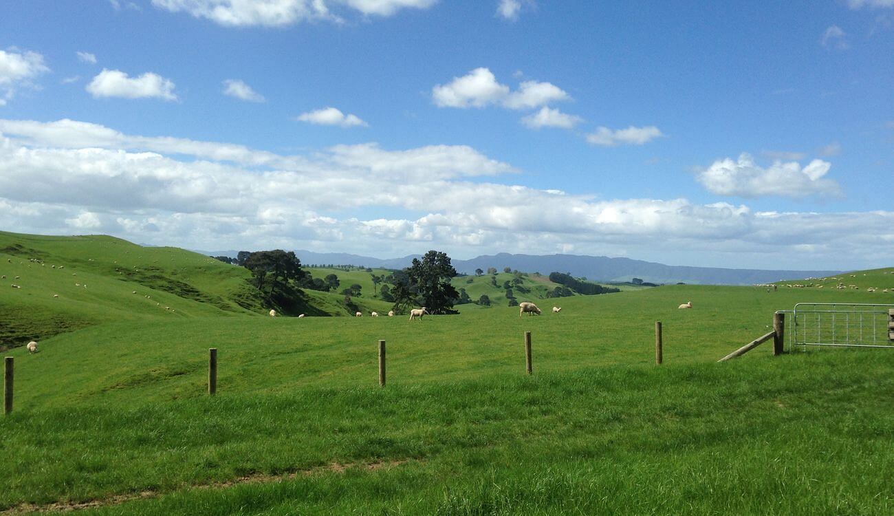 visita a Hobbiton guía para visitar Hobbiton