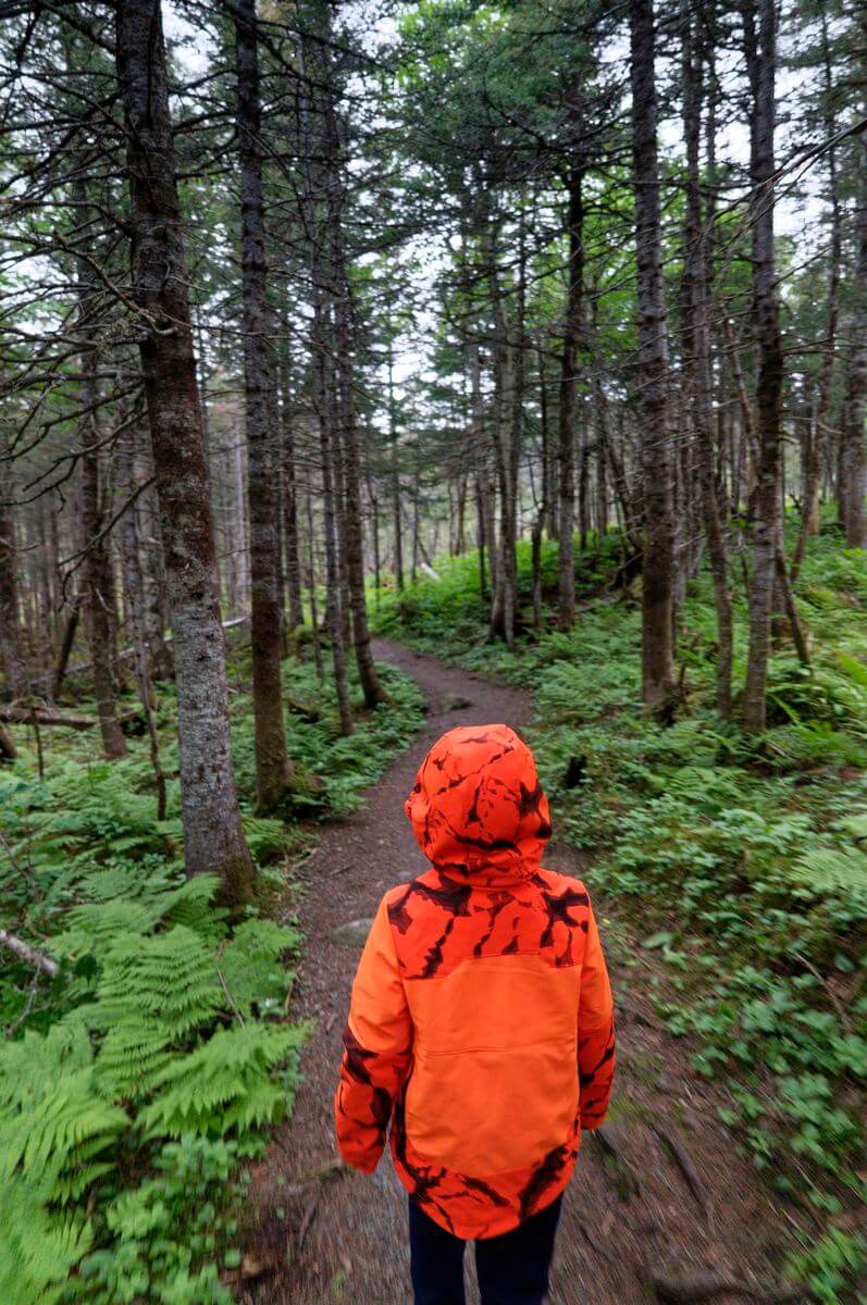 visita el Parque Nacional Gros Morne senderismo en Gros Morne