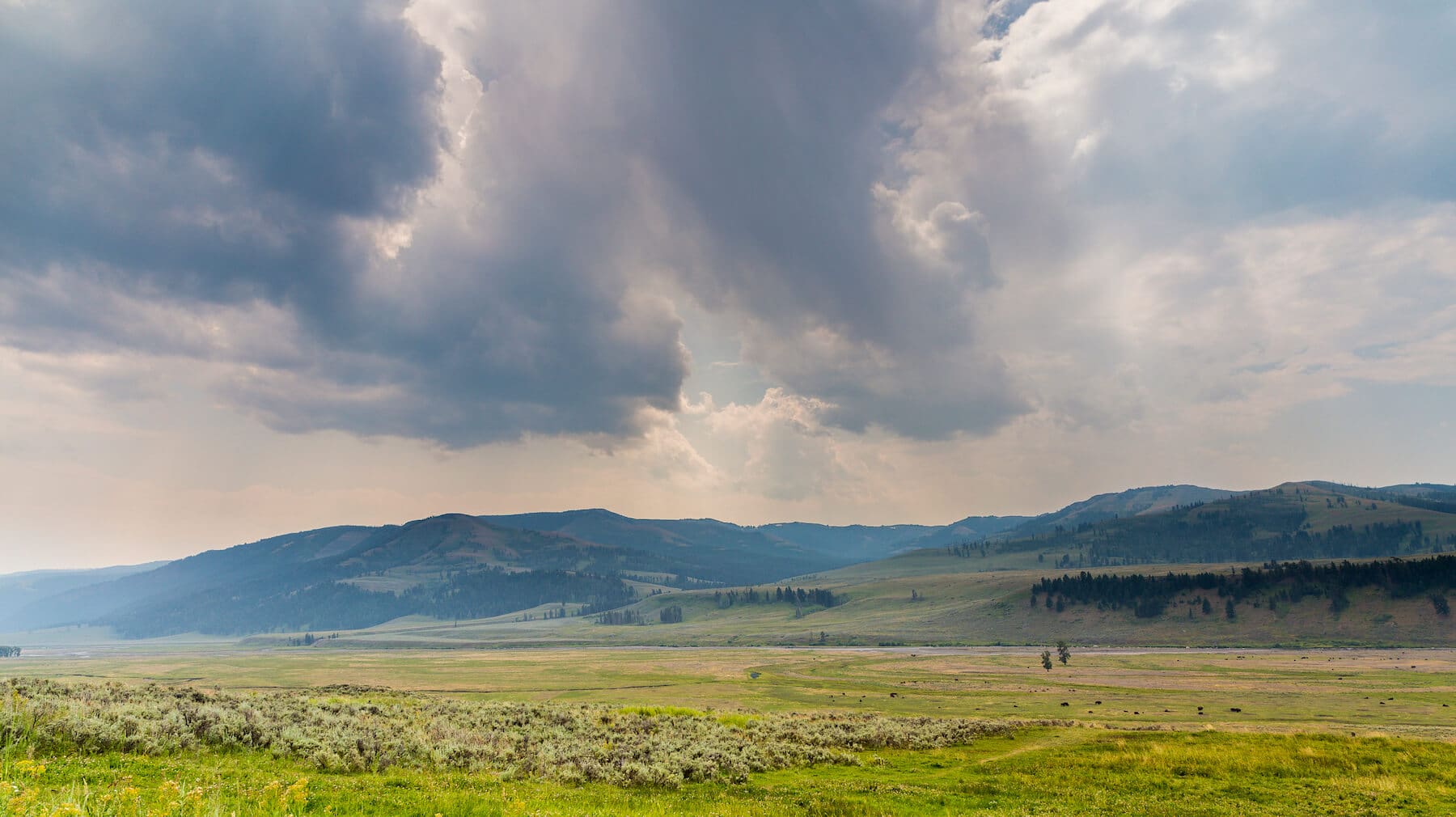 visita el Parque de Yellowstone en los Estados Unidos cosas que ver en el Parque Nacional de Yellowstone