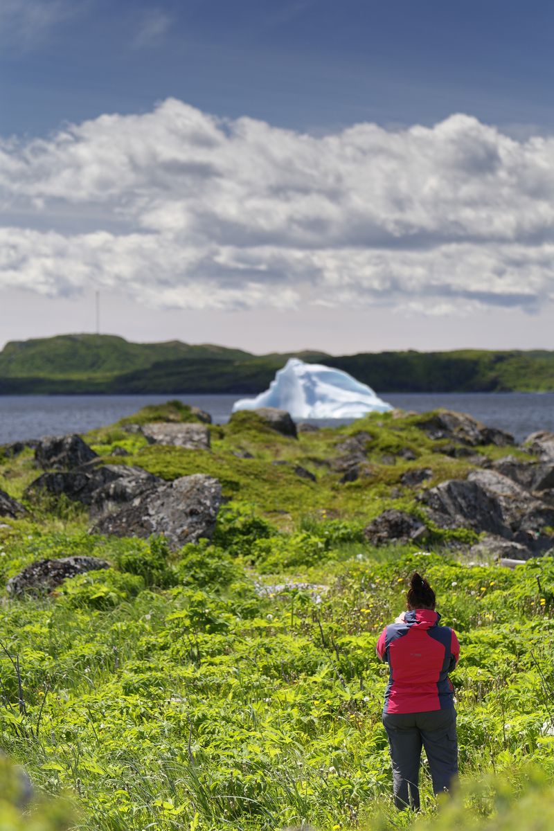ver icebergs en Terranova Terranova, Canadá, iceberg