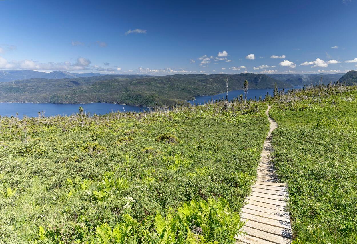 vista desde el sendero Lookout en Gros Morne vista desde el sendero Lookout en Gros Morne