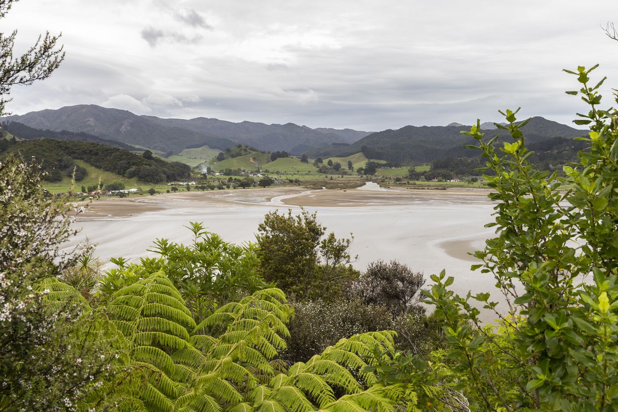 vista de Coromandel paisajes de la península de Coromandel