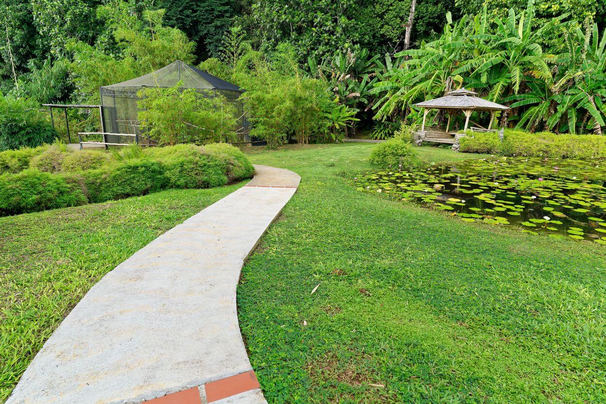magnífica vista del jardín sendero en el jardín