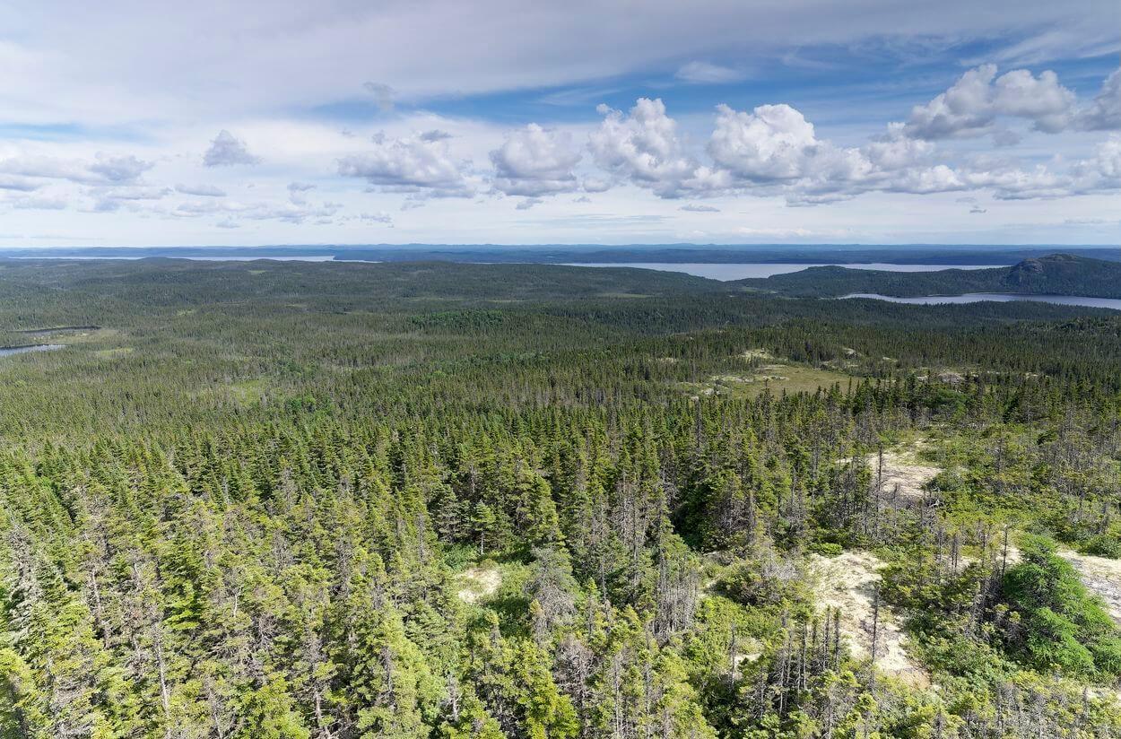vista del Parque Nacional Terra Nova vista del Parque Nacional Terra Nova