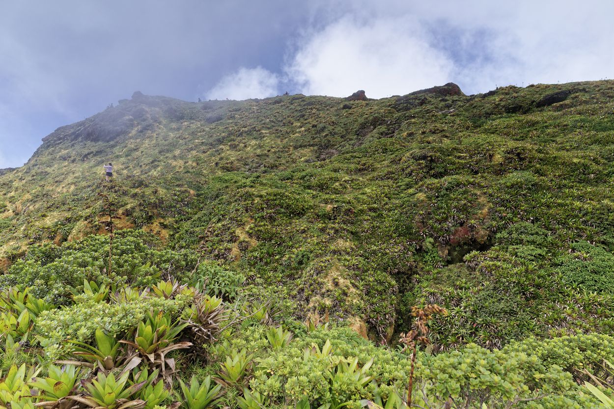 vista de la cumbre Soufrière vista de la cumbre Soufrière