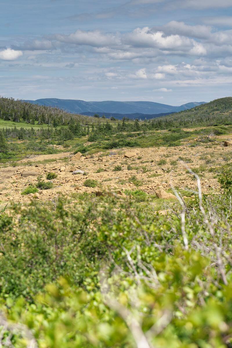 vista de Tablelands en Gros Morne vista de Tablelands en Gros Morne
